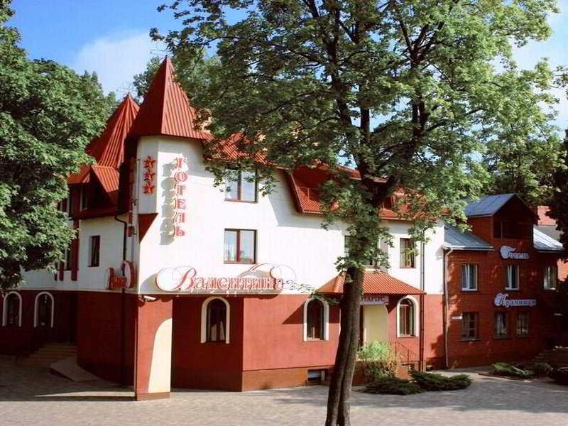 Valentyna Hotel Bryukhovychi Bagian luar foto